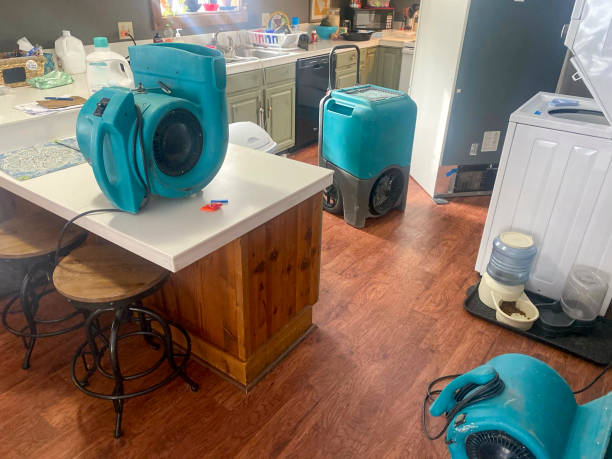 Best 24-hour water damage restoration  in Wolfhurst, OH