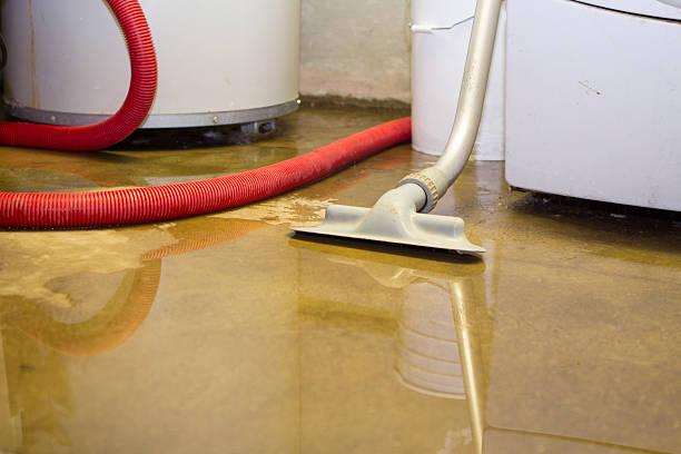 Best Carpet water damage restoration  in Wolfhurst, OH
