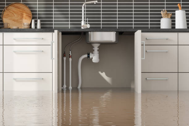 Best Basement water damage restoration  in Wolfhurst, OH